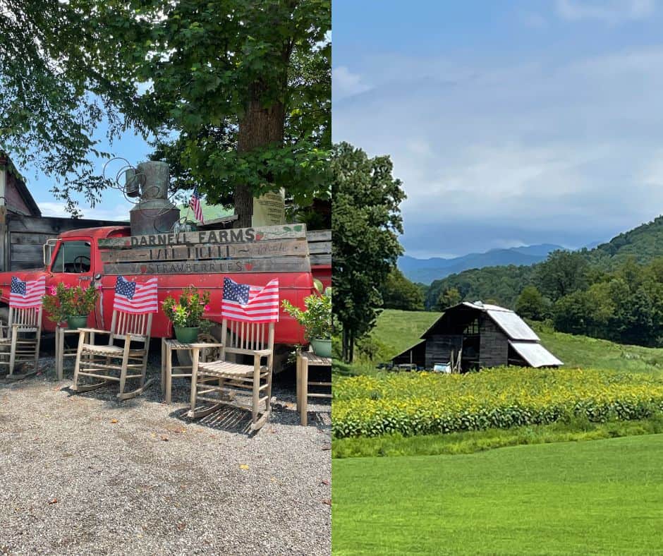 Darnell Farms