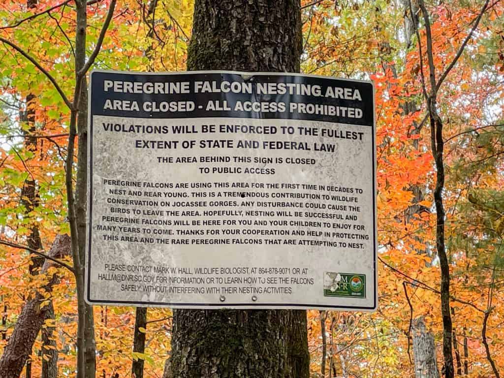 Jumping Off Rock Overlook Falcon Nesting Area