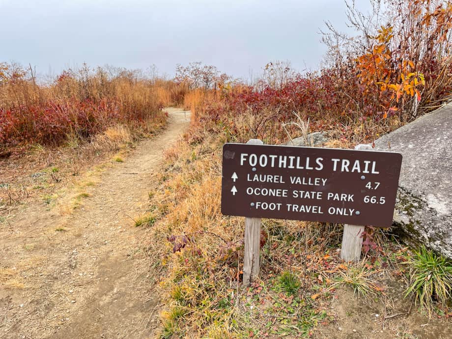 Sassafras Observation Tower Foothills Trail Sign