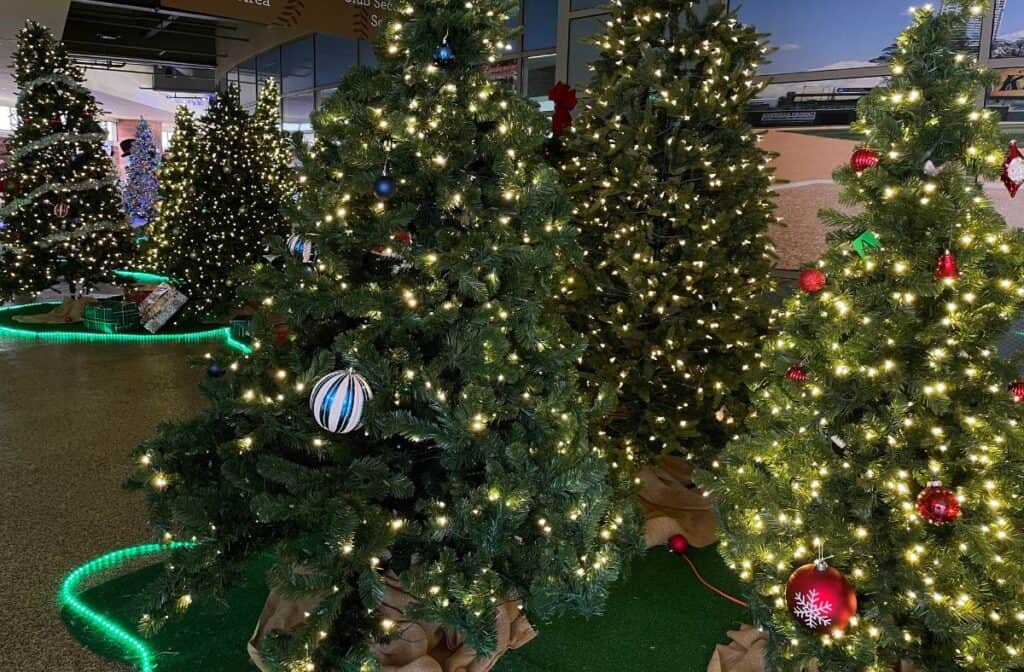 Truist Field Ice Skating