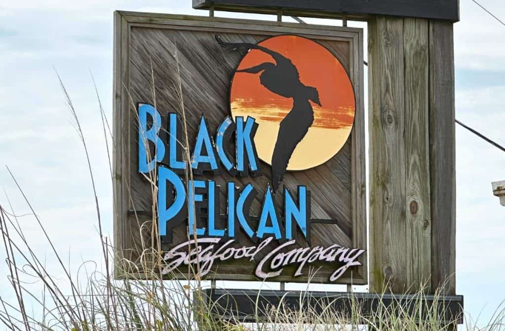 Black Pelican