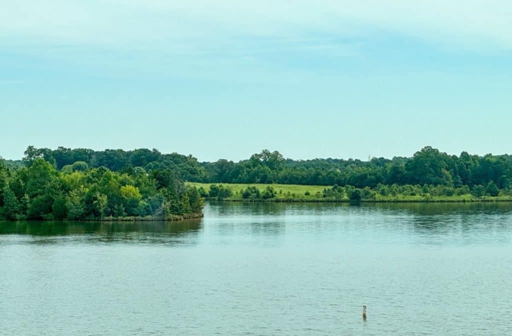 Randleman Lake