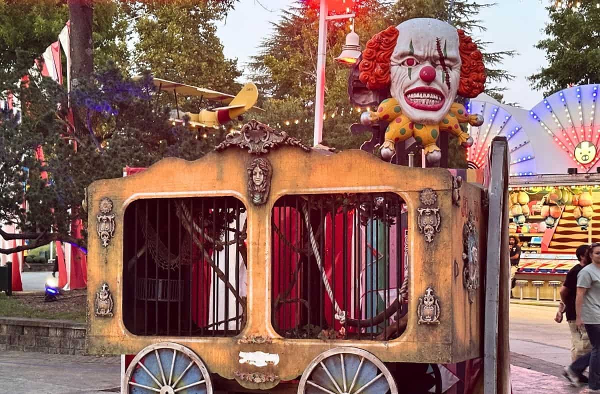 Scarowinds