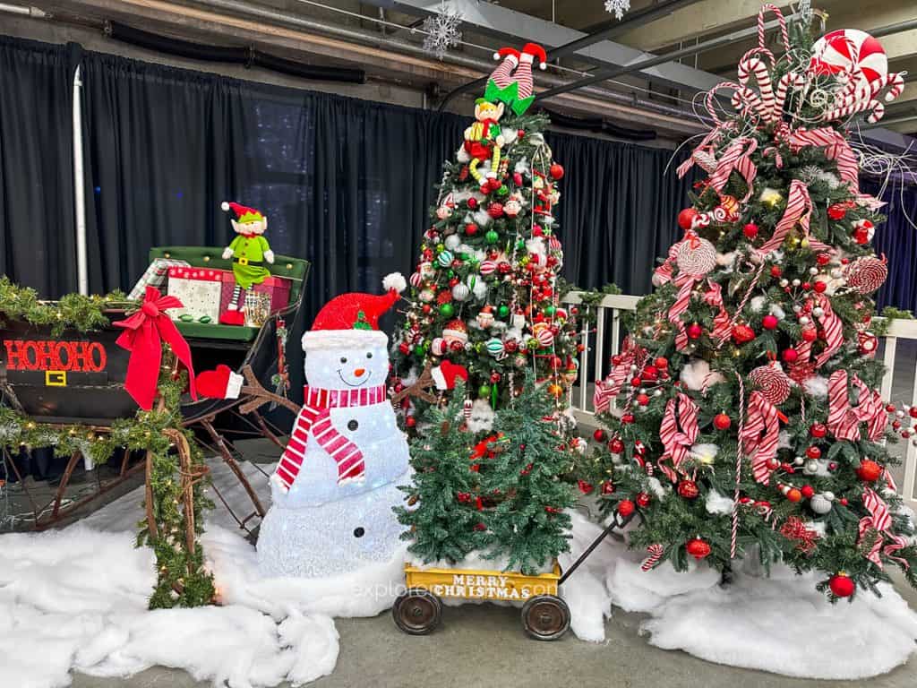 Decorated Christmas Trees at Charlotte Motor Speedway Christmas Lights