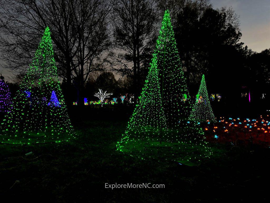 Daniel Stowe Botanical Garden Holiday Lights