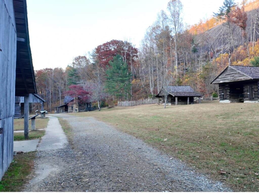 Historic Hutchinson Homestead with view of Stone Mountain dome